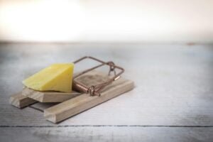 mouse-trap-cheese-device-trap-633881-633881 Brown Wooden Mouse Trap With Cheese Bait on Top
