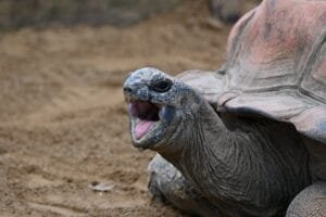 pexels-waynejackson-29092483 Work smarter not harder , because sSlow is the new fast
