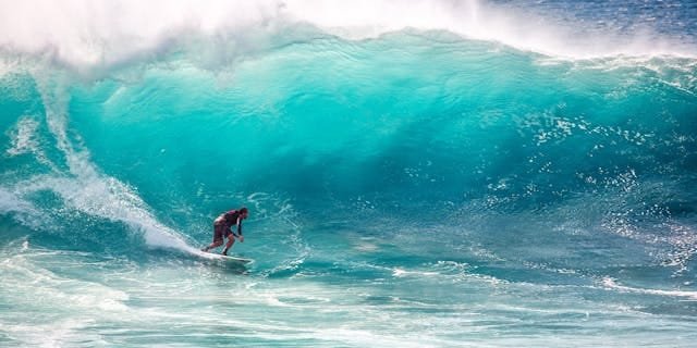 pexels-pixabay-416676 faire face au tsunami: revue de presse mai 2025