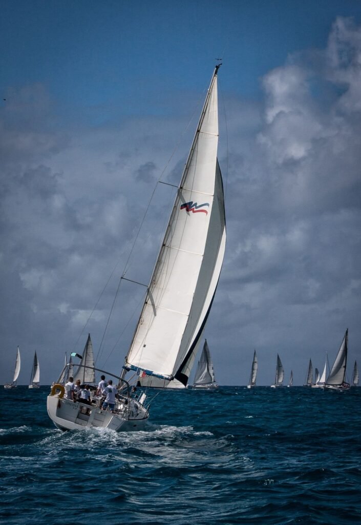 Sailing in organizational seas
